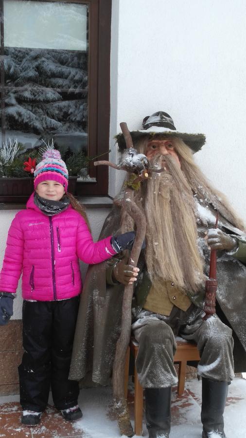 Vila Jensen Harrachov Dış mekan fotoğraf